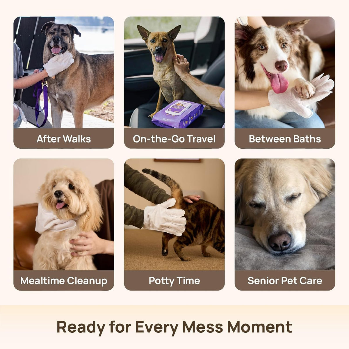 Pet Cleaning Gloves for Dogs & Cats – No-Rinse Grooming Wipes for Easy Fur & Paw Cleaning