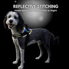 No-Pull Dog Harness | Comfortable Reflective Vest with 3 Leash Clips, No-Choke Design & Adjustable Fit for All Sizes