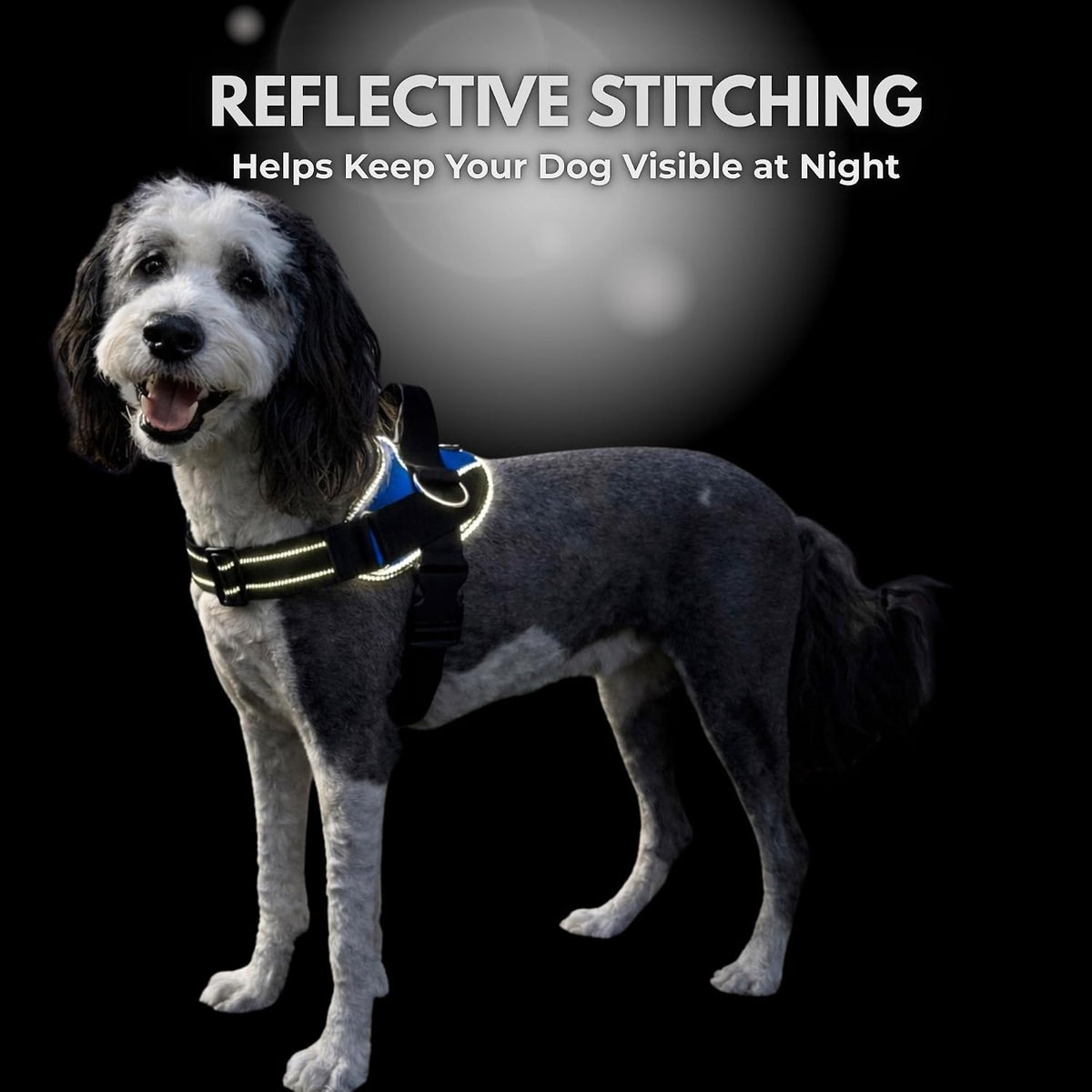No-Pull Dog Harness | Comfortable Reflective Vest with 3 Leash Clips, No-Choke Design & Adjustable Fit for All Sizes