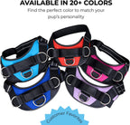 No-Pull Dog Harness | Comfortable Reflective Vest with 3 Leash Clips, No-Choke Design & Adjustable Fit for All Sizes